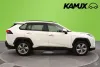 Toyota RAV4 2,5 Hybrid AWD-i Executive / Adapt. Vakkari / Vetokoukku / Ilmastoidut nahat / 360-Kamera / JBL / Thumbnail 2